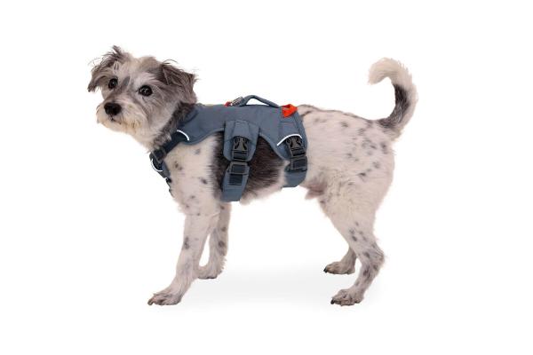 Ruffwear Web Master Harness Slate Blue Gr. XXS